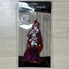 SEGA限定 ツイステ リドル 寮服 アクリルキーホルダー