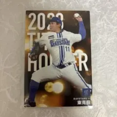 プロ野球チップス横浜DeNAベイスターズ東克樹