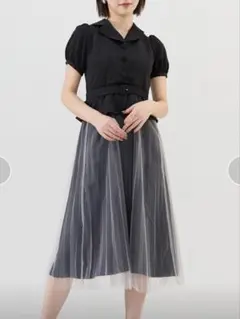 レディアゼル ツイル×チュールプリーツワンピースのサムネイル