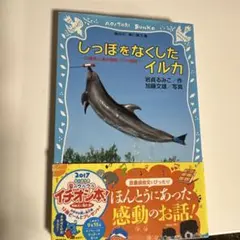 Item thumbnail for item 1f1db71d-2dd7-442f-b0ab-17d13cca02bc