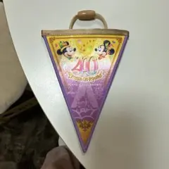 東京ディズニーリゾート 40周年 フラッグ