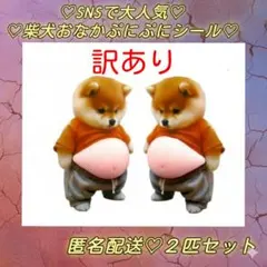 【新品訳あり】おなか ぷにぷに シール 柴犬 ステッカー 　２匹セット　片方