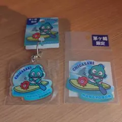 ハンギョドン 茅ヶ崎限定 アクリルキーホルダー ステッカー