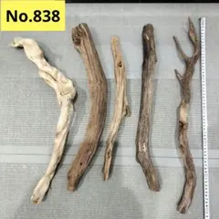 Item thumbnail for item a838d872-9d01-4c2a-b340-1acf8ce021ce