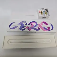 難あり　Apple Pencil Pro +交換ペン先