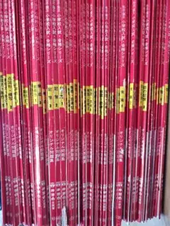 伸芽会 小学校入試・合格シリーズ オリジナル問題集 54冊（旧版）中古 赤本