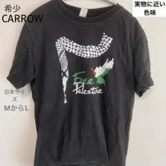【希少】Free Palestine メッセージ Tシャツ 黒 ヴィンテージ感