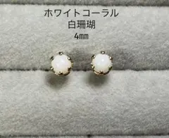 No3664ホワイトコーラル白珊瑚のピアス4㎜サージカルステンレスゴールド