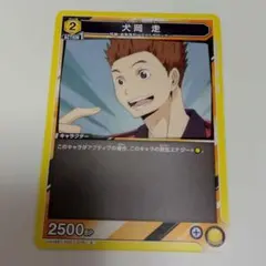 2026年最新】ユニオンアリーナ日向翔陽の人気アイテム - メルカリ