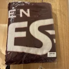 【新品】楽天イーグルス ブランケット Ver.7