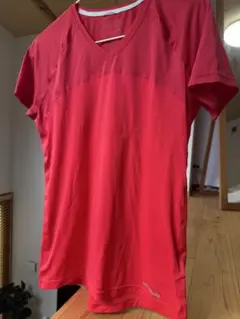【仁。様専用】Patagonia VネックTシャツ レディース