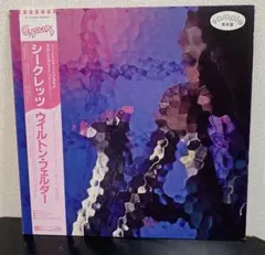 美品 稀少 レコード 平沢進 ヴァーチュアル・ラビット 戸川純 P-MODEL