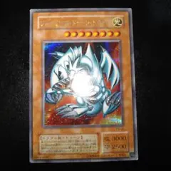 遊戯王　ブルーアイズ・トゥーン・ホワイトドラゴン　2期　シークレット