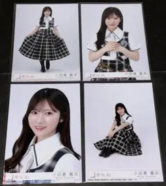 櫻坂46 向井純葉 生写真 Lonesome rabbit 4枚 コンプ - メルカリ