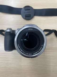 2026年最新】dmc fz2の人気アイテム - メルカリ