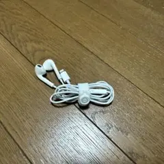 Apple Ear Pods Lightning