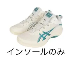 ゲルフープv17 24