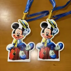 ディズニー　バケーションパッケージ　パスケース　チケットホルダー　ミッキー