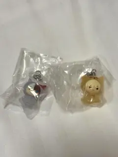 僕のヒーローアカデミア めじるしアクセサリー アニマルver.爆豪勝己　轟焦凍