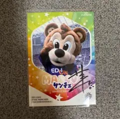 サンフレッチェ広島 サンチェ 直筆サインカード