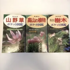 2026年最新】趣味の山野草の人気アイテム - メルカリ