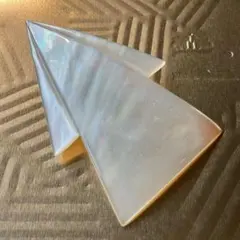 大ぶり貝ブローチ　シロチョウ貝（ホワイトパールの母貝）　真珠貝　個性的　Ｂ