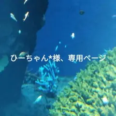 ひーちゃん*様 リクエスト 2点 まとめ商品④樹脂フックピアス