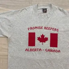 ●フルーツオブザルーム●USA輸入Tシャツ シングルステッチ カナダ 国旗