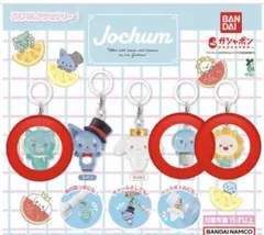 Jochum ジェオチャム めじるしアクセサリー1