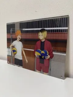 ハイキュー！　日向翔陽　孤爪