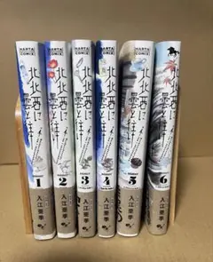 2026年最新】北北西に曇と往け 6の人気アイテム - メルカリ