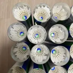 YONEX ニューオフィシャルバドミントン シャトル 240球 - メルカリ