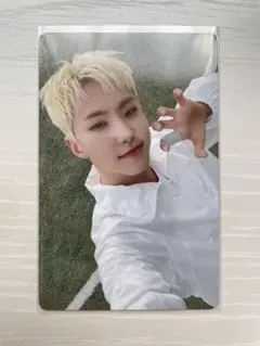 SEVENTEEN BSS ブソクスン TELEPARTY KIT トレカ ホシ