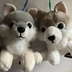 2026年最新】もふっとオオカミの人気アイテム - メルカリ