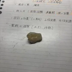 13.宮城県石巻市沼津貝塚出土骨角器 13.宮城県石巻市沼津貝塚出土骨角器 - メルカリ