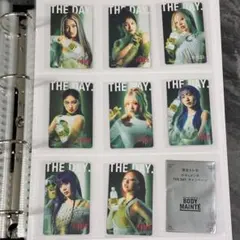 ボディメンテ ちゃんみな HANA トレカ 全8種フルコンプ