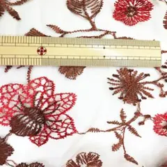 Item thumbnail for item 31d03144-2b3a-4c46-92db-ddd495137ca9