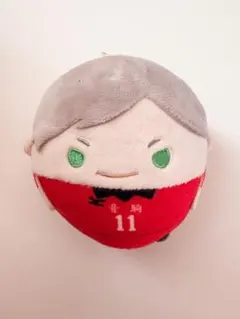 ハイキュー!! 音駒高校 ぬいぐるみ マスコット 灰羽リエーフ