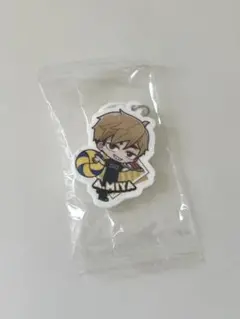 宮治 めじるしチャーム