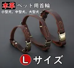 Item thumbnail for item 7d12f555-e1f1-46d2-8bc7-d9997645ec16