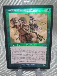 ご確認用】プレーンシフト foil 荊景学院の戦闘魔道士 日本語 1枚　MP寄り ご確認用】プレーンシフト foil 荊景学院の戦闘魔道士 日本語 1枚 MP
