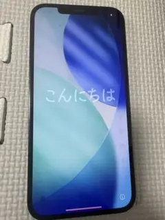 Apple iPhone 12 Pro Max 本体 256GB