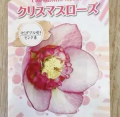 シエル☆必ず プロフ確認して下さい様 リクエスト 2点 まとめ商品