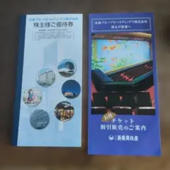 익명 배송 긴테쓰 그룹 홀딩스 주주님 우대권 ※승차권 없음