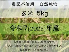 5kg 玄米食に最適「はるみ」自然栽培米　農薬不使用　玄米のサムネイル