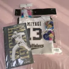 オリックス・バファローズ選手グッズ　宮城大弥くん