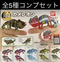 いきもの大図鑑レプティ カメレオン ガチャ全5種コンプセット【c】