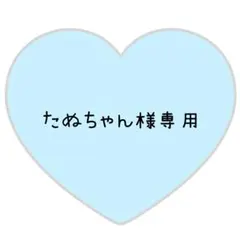 たぬちゃん様専用ページ⸜❤︎⸝ラウ