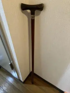 杖