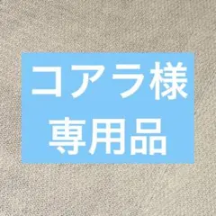 Item thumbnail for item 65228cec-5aa7-4593-bc37-957a743de7a4